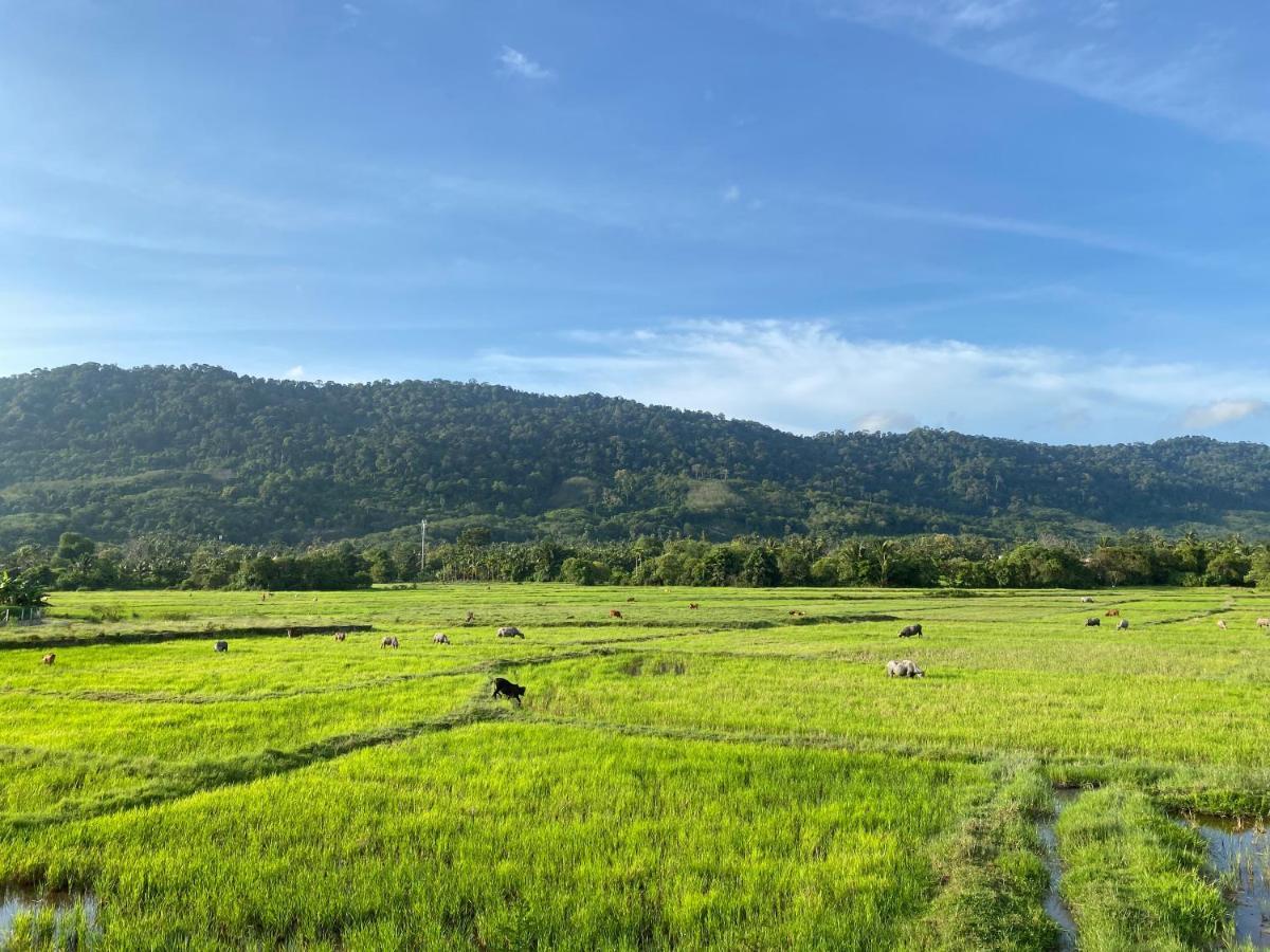 Lamanleman Langkawi 판타이체낭 외부 사진